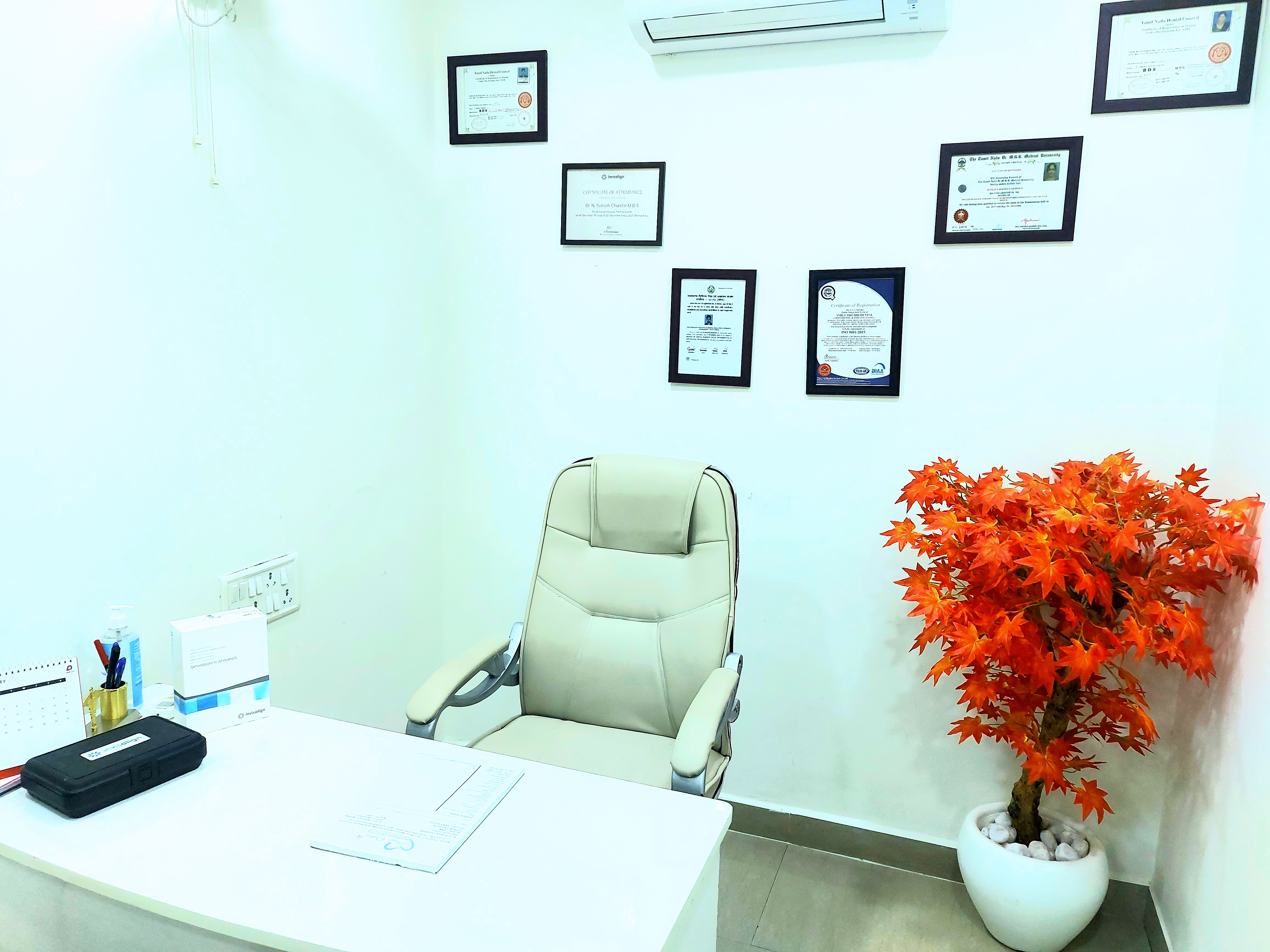 Best Dentist in kilpauk | Dentist in Kellys | smile orchid